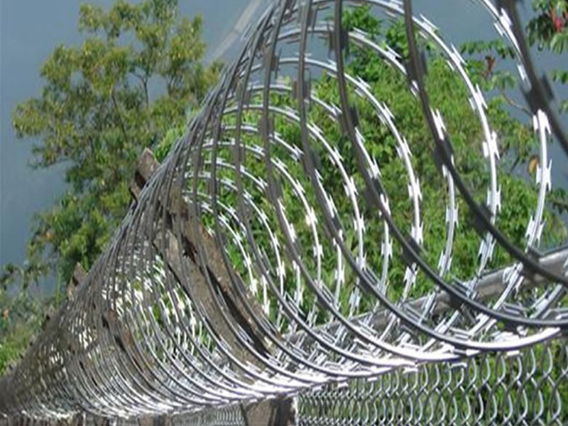 Concertina Galvanizada